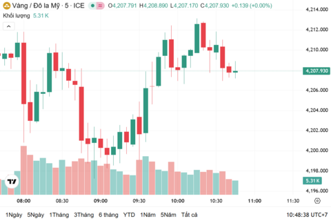 Ngày 8/12: Giá vàng trong nước tăng 300.000 đồng/lượng
