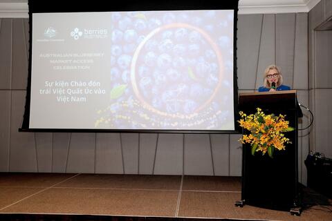 Việt quất Australia chính thức có mặt tại Việt Nam