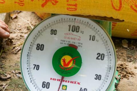 Nông dân Cần Thơ lãi đậm với lúa ST25