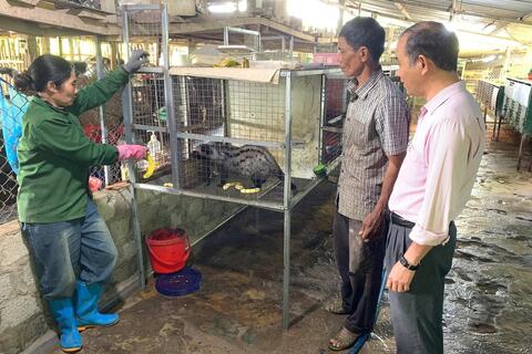 Từ nguồn vốn chính sách đến con đường giảm nghèo, làm giàu trên vùng cao Sơn Hà