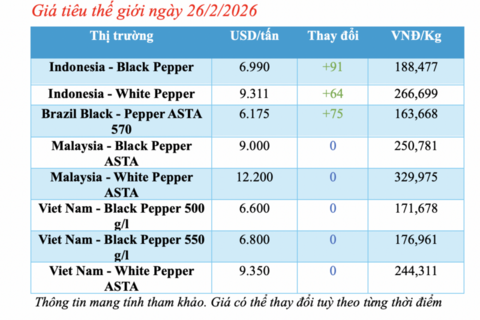 Giá tiêu hôm nay 26/2/2026: Tiếp tục giảm mạnh