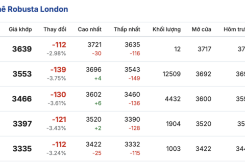 Giá cà phê hôm nay 12/3/2026: Thị trường trong nước giảm nhẹ