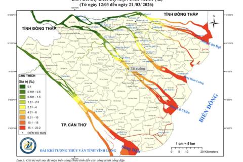Xâm nhập mặn ở Vĩnh Long tăng nhanh
