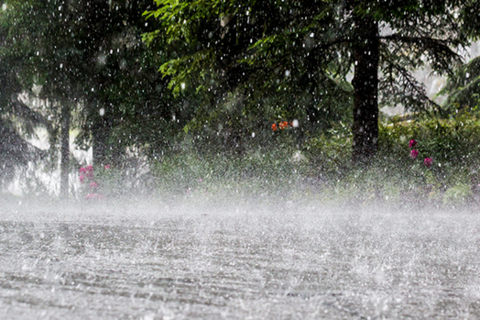 Mưa lớn kèm dông lốc gây thiệt hại lớn tại Lào Cai, Lai Châu và Điện Biên