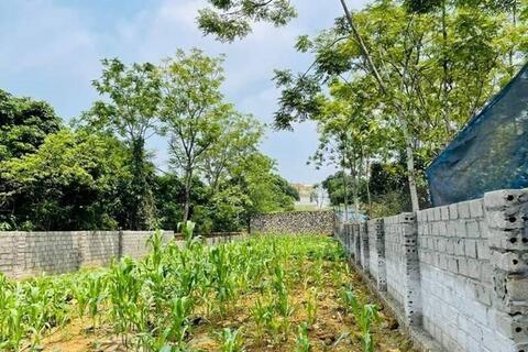 Giá đất nền và nhà riêng quay đầu giảm, thị trường bước vào giai đoạn thanh lọc