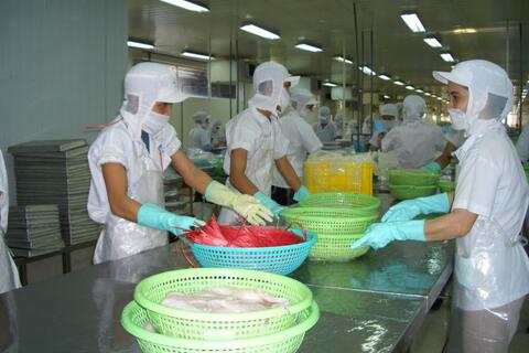 Xuất khẩu thủy sản quý II dự báo tăng nhưng phân hóa theo thị trường