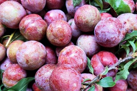 Giá nông sản hôm nay 13/4: Hàng loạt các mặt hàng tăng giá