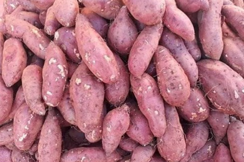 Giá nông sản hôm nay 14/4/2026: Một số mặt hàng có xu hướng tăng nhẹ