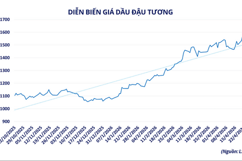 Giá dầu đậu tương tăng vọt