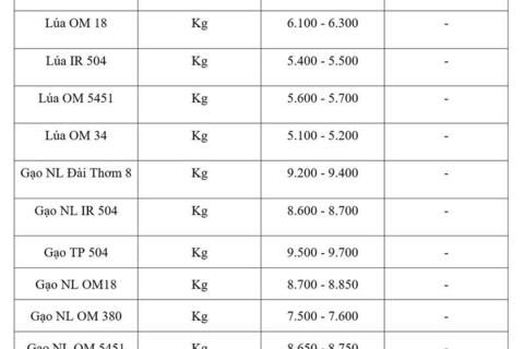 Giá lúa gạo hôm nay ngày 6/5/2026: Gạo xuất khẩu biến động trái chiều