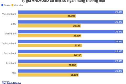 Ngày 11/5: Tỷ giá trung tâm tăng 6 đồng