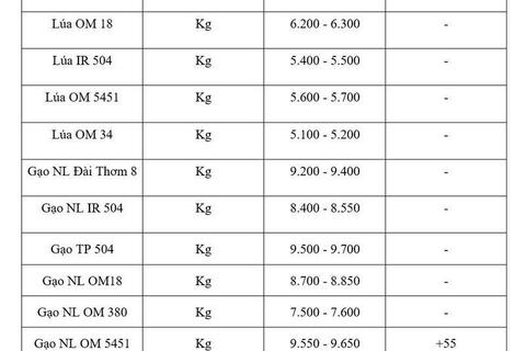 Giá lúa gạo hôm nay ngày 18/5/2026: Gạo xuất khẩu nguyên liệu tăng