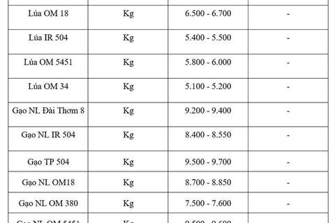 Giá lúa gạo hôm nay ngày 27/5/2026: Gạo thơm dẻo xuất khẩu neo cao