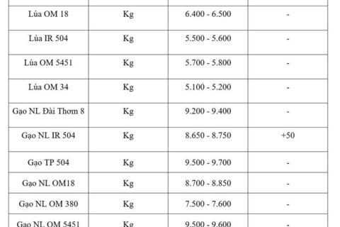 Giá lúa gạo hôm nay ngày 2/6/2026: Gạo nguyên liệu xuất khẩu tăng nhẹ