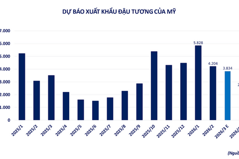 Giá dầu thế giới giảm mạnh khi rủi ro địa chính trị hạ nhiệt
