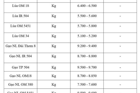 Giá lúa gạo hôm nay ngày 10/6/2026: Gạo xuất khẩu biến động