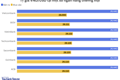 Ngày 19/6: Tỷ giá trung tâm tăng 8 đồng