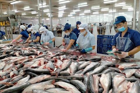 EVFTA giúp thủy sản Việt giữ vững kim ngạch tỷ USD tại thị trường EU
