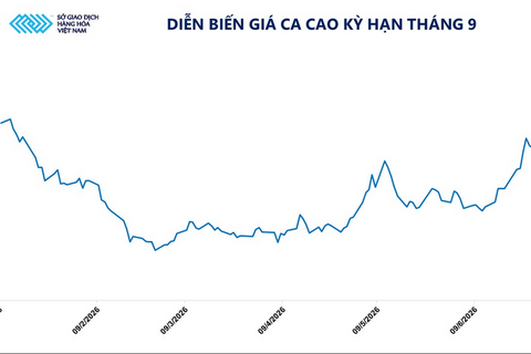 Giá ca cao thế giới tăng hơn 6%