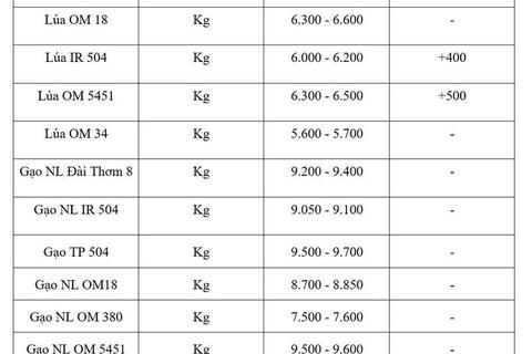 Giá lúa gạo hôm nay ngày 14/7/2026: Lúa tươi đồng loạt tăng mạnh
