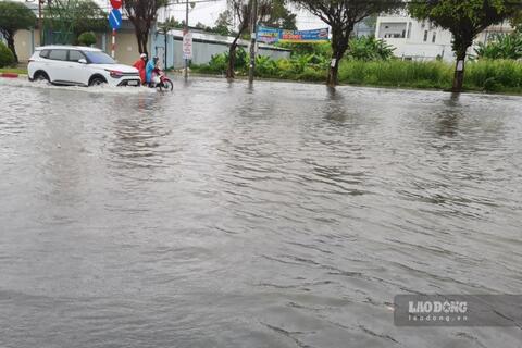 Mưa lớn làm ngập hơn 21.000ha lúa, 892 nhà ở Cà Mau