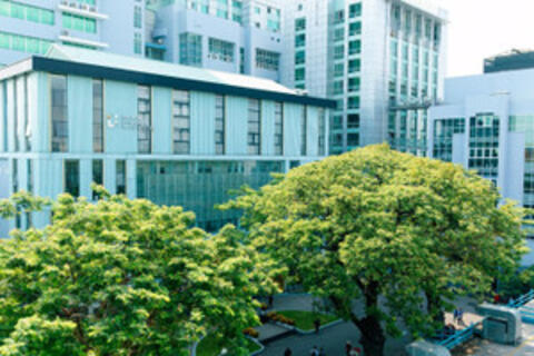 Việt Nam có thêm 3 đại học vào bảng xếp hạng thế giới