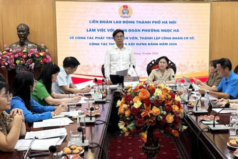 Hoàn thành cập nhật dữ liệu 100% đoàn viên mới trên hệ thống iHanoi