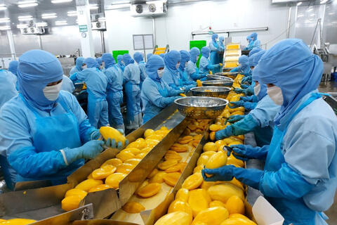 Ngân hàng khơi thông dòng vốn, tiếp sức động lực tăng trưởng hai tỉnh An Giang và Cà Mau