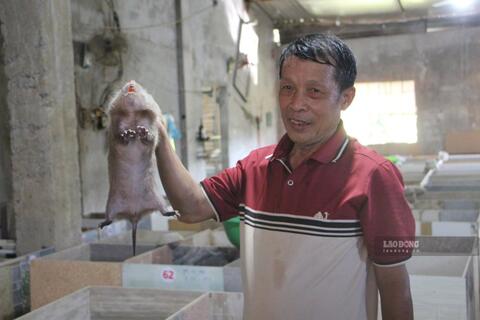 Mô hình nuôi dúi, nuôi chồn mở lối sinh kế mới cho người dân Ea Riêng