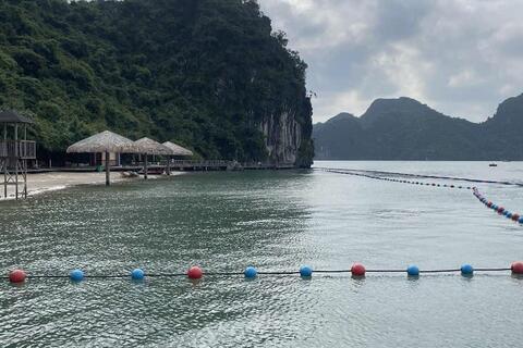 Sẵn sàng đưa bãi tắm Soi Sim, vịnh Hạ Long vào hoạt động