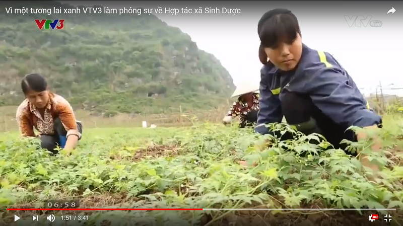 Cần biết - Muối tắm thảo dược: kháng khuẩn lành da, ngừa rôm sảy mẩn ngứa (Hình 5).