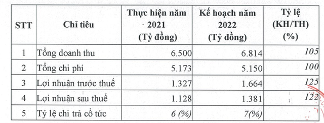 Becamex (BCM) ước lãi 1.128 tỷ đồng năm 2021, đặt kế hoạch lãi 1.381 tỷ đồng cho năm 2022 - Ảnh 2.