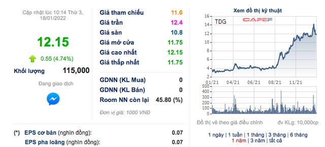 Đầu tư TDG Global (TDG): Quý 4 lãi 18 tỷ đồng gấp 23 lần cùng kỳ - Ảnh 2.