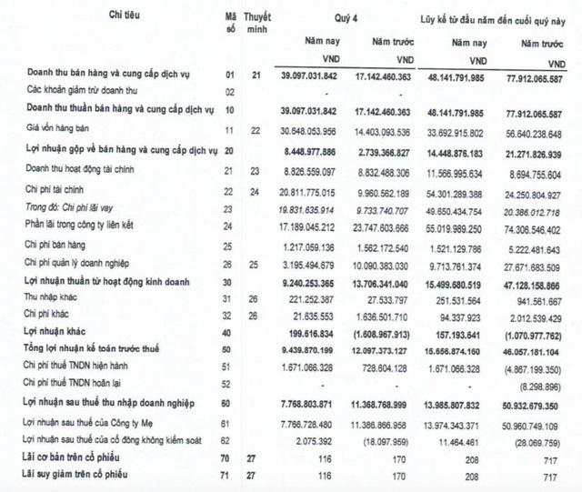 DRH Holdings (DRH): Năm 2021 chỉ lãi 14 tỷ đồng, chính thức vỡ kế hoạch kinh doanh - Ảnh 1.