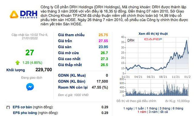 DRH Holdings (DRH): Năm 2021 chỉ lãi 14 tỷ đồng, chính thức vỡ kế hoạch kinh doanh - Ảnh 2.