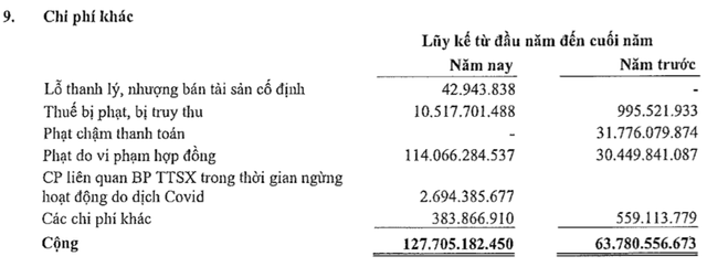 Becamex TDC: Năm 2021 lãi 122 tỷ đồng, giảm 40% so với cùng kỳ - Ảnh 1.