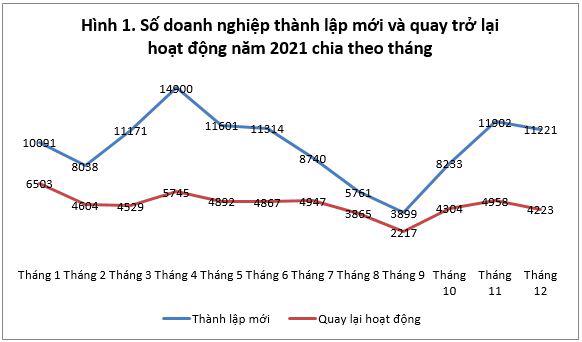 Giữa “bão” Covid-19, hơn 40.000 doanh nghiệp Việt kiên cường tái gia nhập thị trường - Ảnh 1