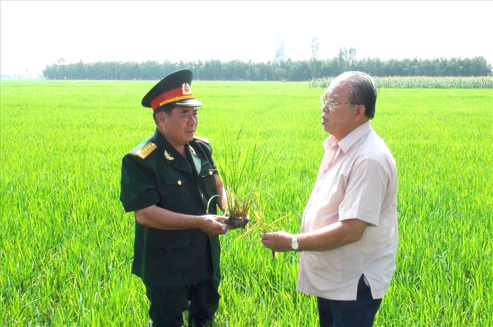 GS.TS Võ Tòng Xuân trong lần trở lại  Đồng Tháp Mười và vui mừng trước màu xanh cây lúa trên nền đất trũng phèn. Ảnh: LT