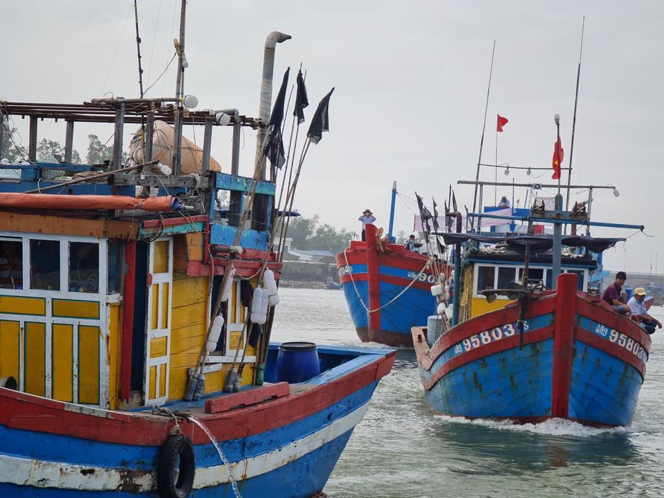 Các tàu cá nổ máy ra khơi.