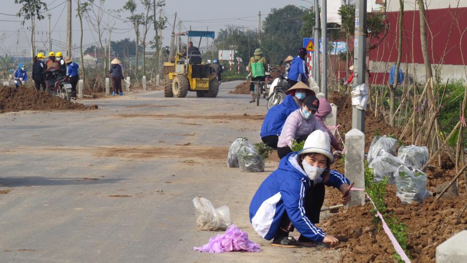 Những hàng cây hoa hai bên đường giao thông xã Đại Thắng đang được trồng mới để tạo cảnh quan môi trường