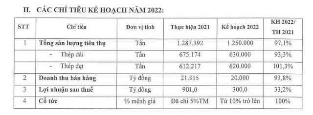 Thép SMC bất ngờ lên kế hoạch lợi nhuận đi lùi tới 67% trong năm 2022, phát hành cổ phiếu ESOP giá 0 đồng - Ảnh 1.