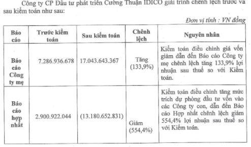 Hoạt động BOT ngưng trệ, Cường Thuận Idico (CTI) lần đầu thua lỗ sau chục năm niêm yết - Ảnh 2.