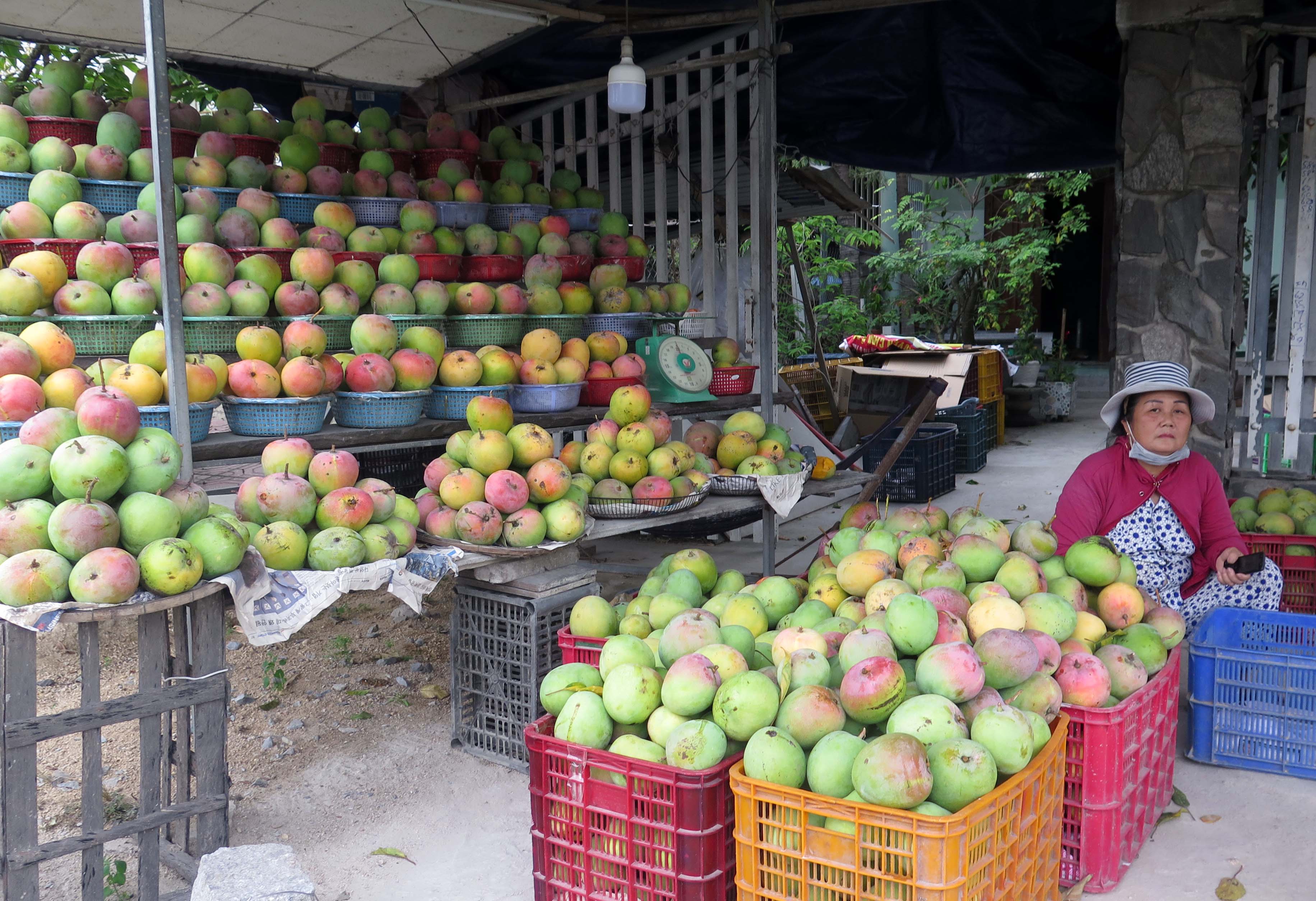 Xo&agrave;i &Uacute;c b&aacute;n dọc hai bến quốc lộ 1A. (Ảnh: Trung Vũ)