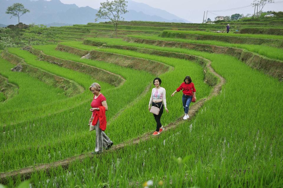 Khách du lịch tham quan khu bảo tồn thiên nhiên Pù Luông (tỉnh Thanh Hóa)