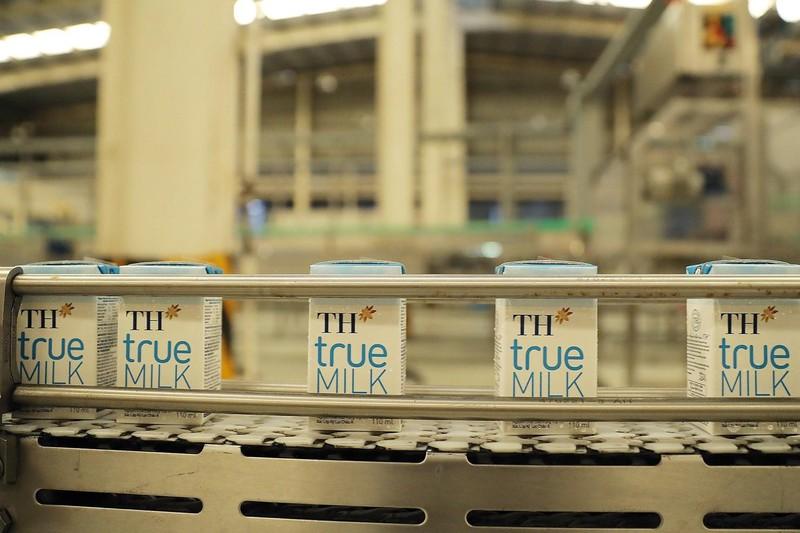 Hơn 1 thập kỷ TH true MILK: Dòng sữa sạch từ trang trại đạt kỷ lục thế giới ảnh 2