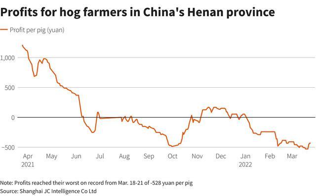 Ngành nuôi lợn ở Trung Quốc lao đao vì giá thức ăn chăn nuôi cao mà nhu cầu thịt  lợn lại giảm - Ảnh 1.