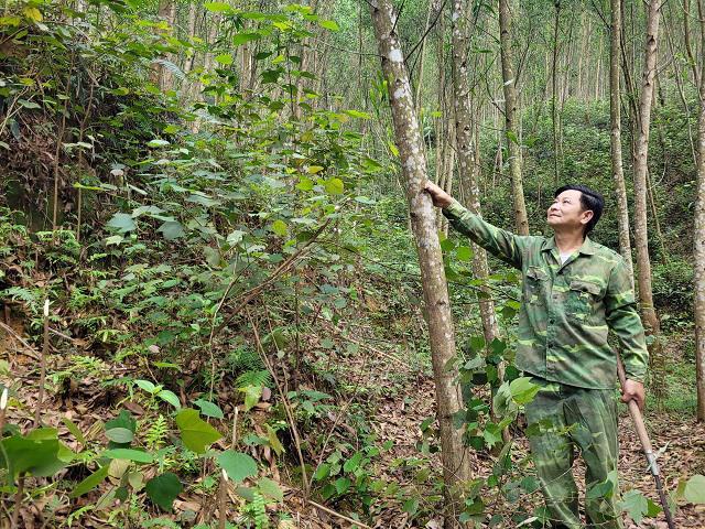 Ông Nguyễn Văn Hà ở xã Quang Thọ, huyện Vũ Quang chủ động thực hiện các phương án phòng, chống cháy rừng