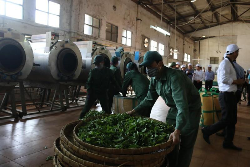 Mộc Châu, Sơn La: Chú trọng phát triển nông nghiệp công nghệ cao ảnh 2