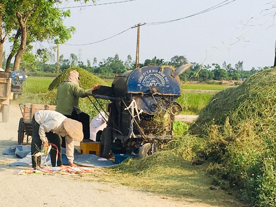 Việc thu hoạch xong, vứt rơm thành đống gây ách tắc dòng chảy, ô nhiễm nguồn nước vẫn xảy ra. (Ảnh minh họa)