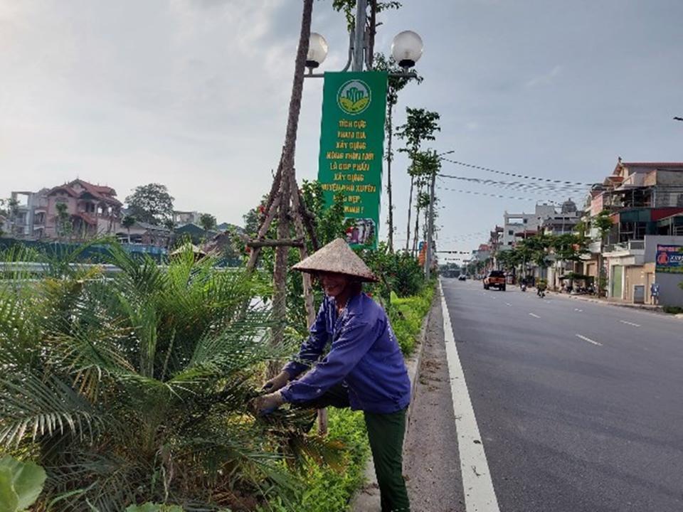 Cắt tỉa cây xanh đảm bảo mỹ quan cho đường phố huyện Phú Xuyên